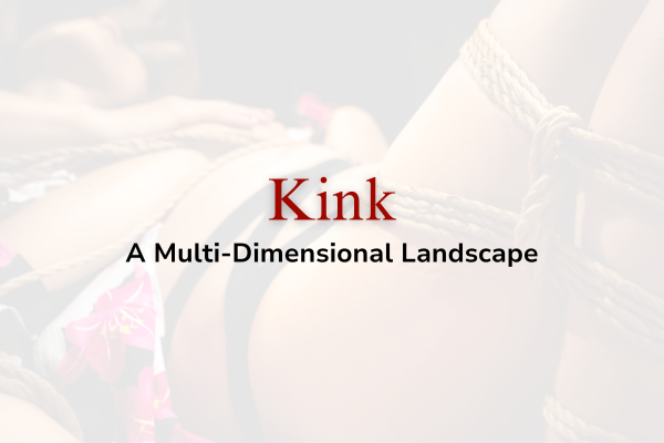 Kink – A multi-dimensional landscape